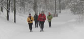 2008_HighPark_1.jpg